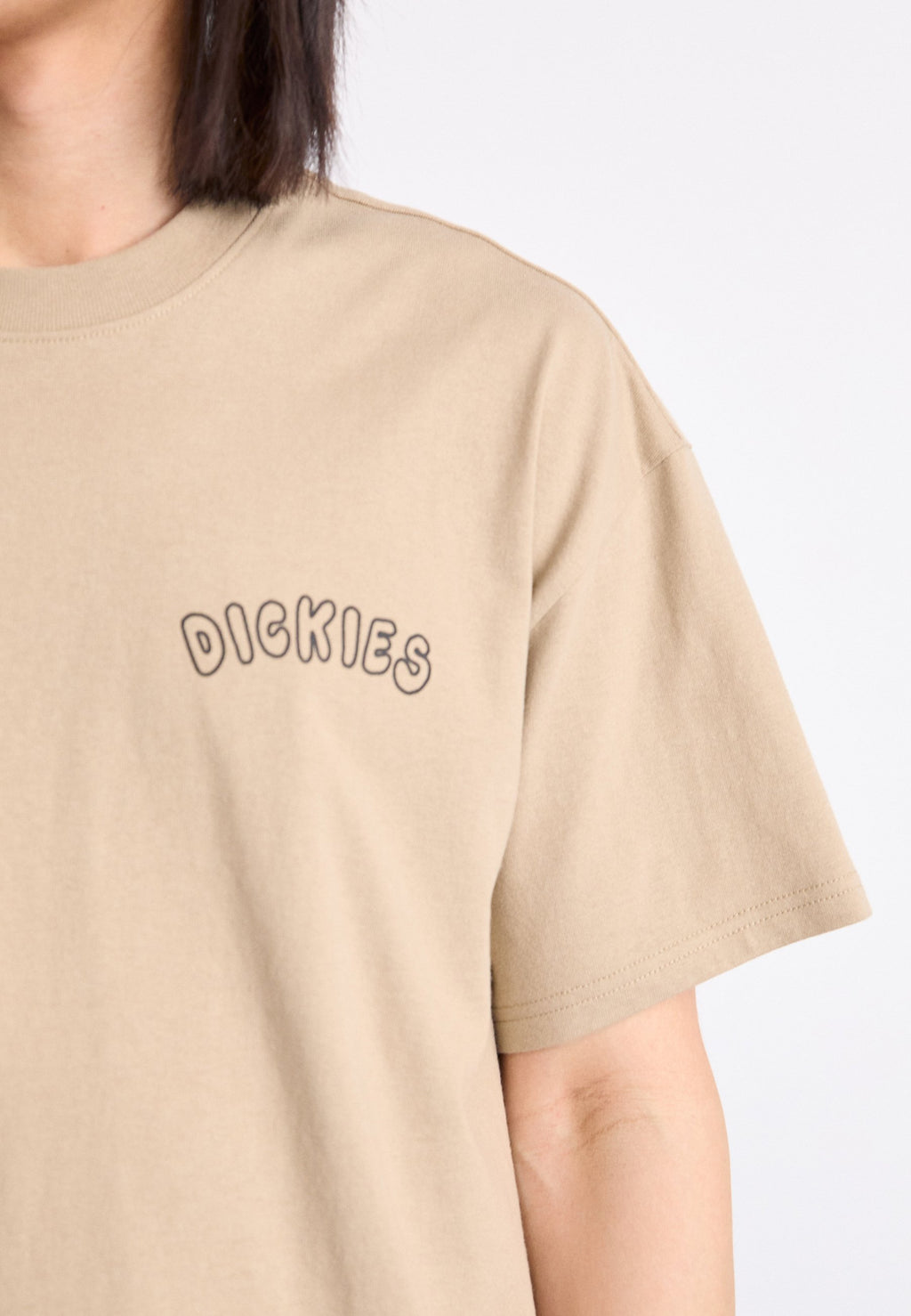 Dickies DECARTUVILLE TEE