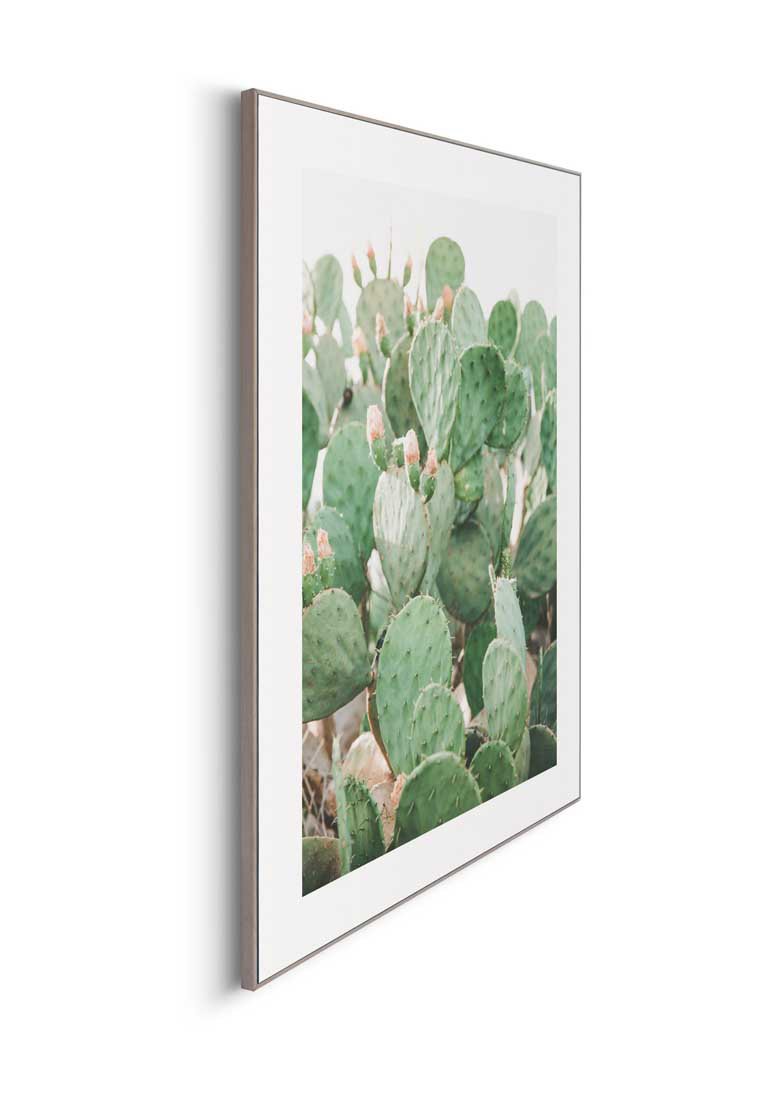 Orange Wallz FLORAL CACTI
