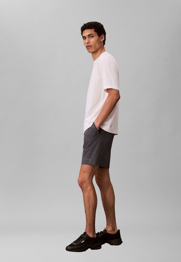 Calvin Klein GRAPHIC TEE ICON
