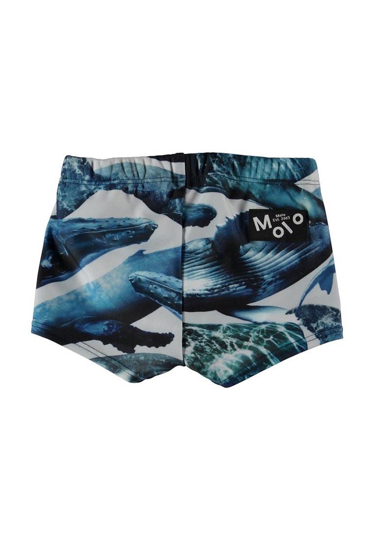 Molo NANSEN