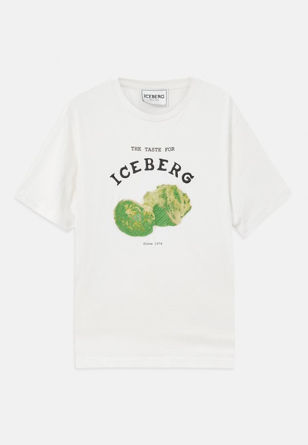 Iceberg