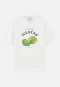 Iceberg