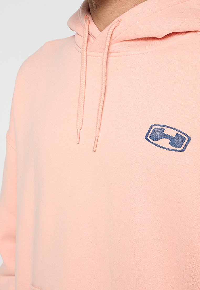 Hollister Co. WEBEX BAGGY
