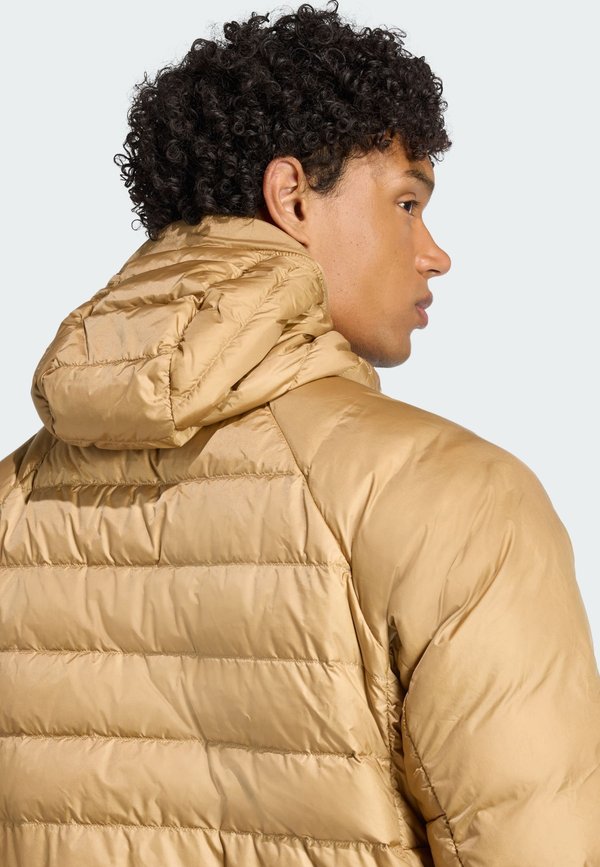 adidas Terrex XPERIOR HOODED