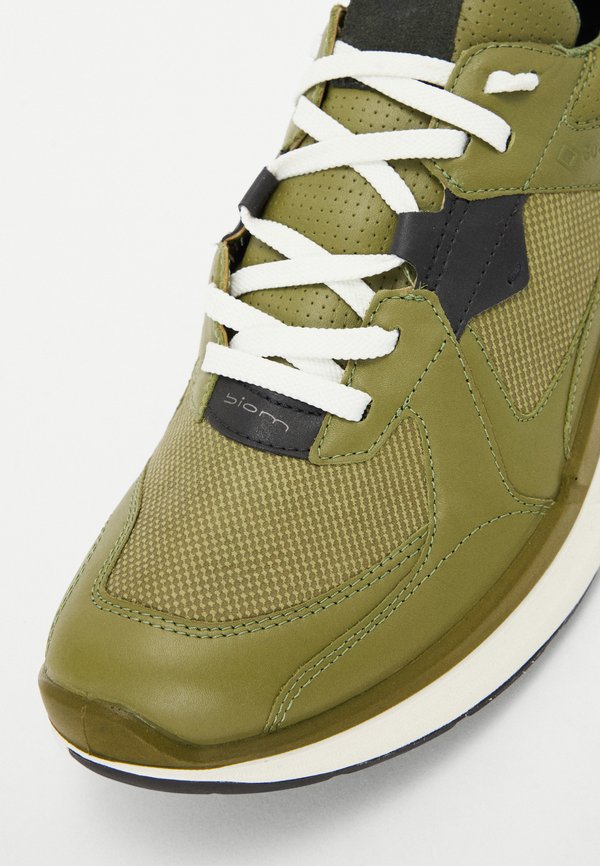 ECCO BIOM 2.2 GTX