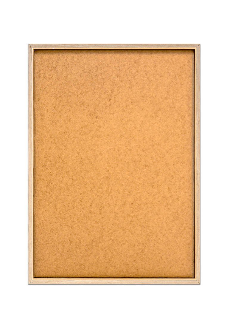 Orange Wallz MATISSE FLORAL 3 PACK