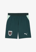 Puma AUSTRIA ÖFB SHORTS REPLICA - Sports shorts - green terrain-mint melt
