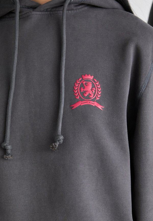 Tommy Jeans WASHED CREST PLAY HOOD