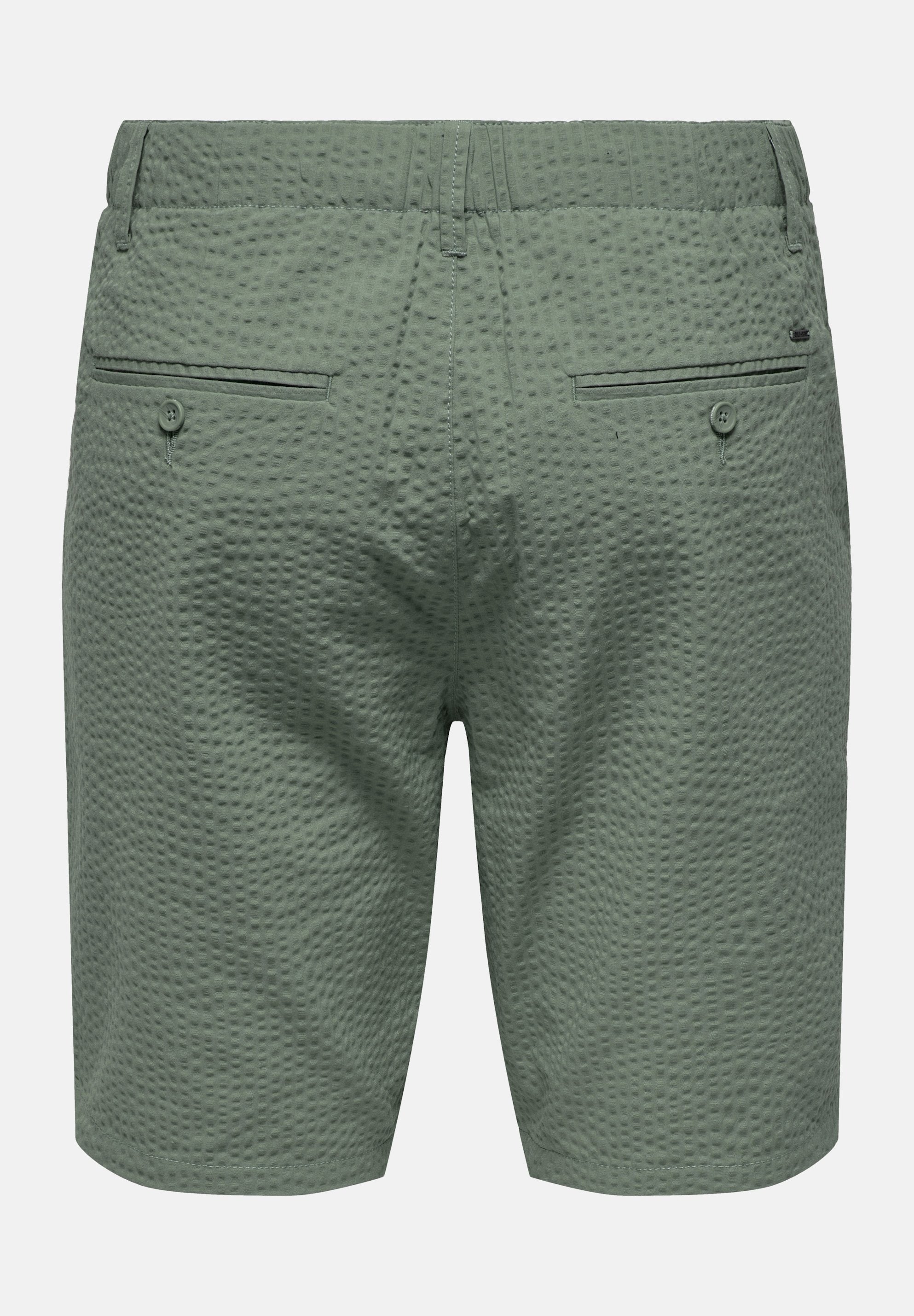 Only & Sons ONSLEO Regular Fit