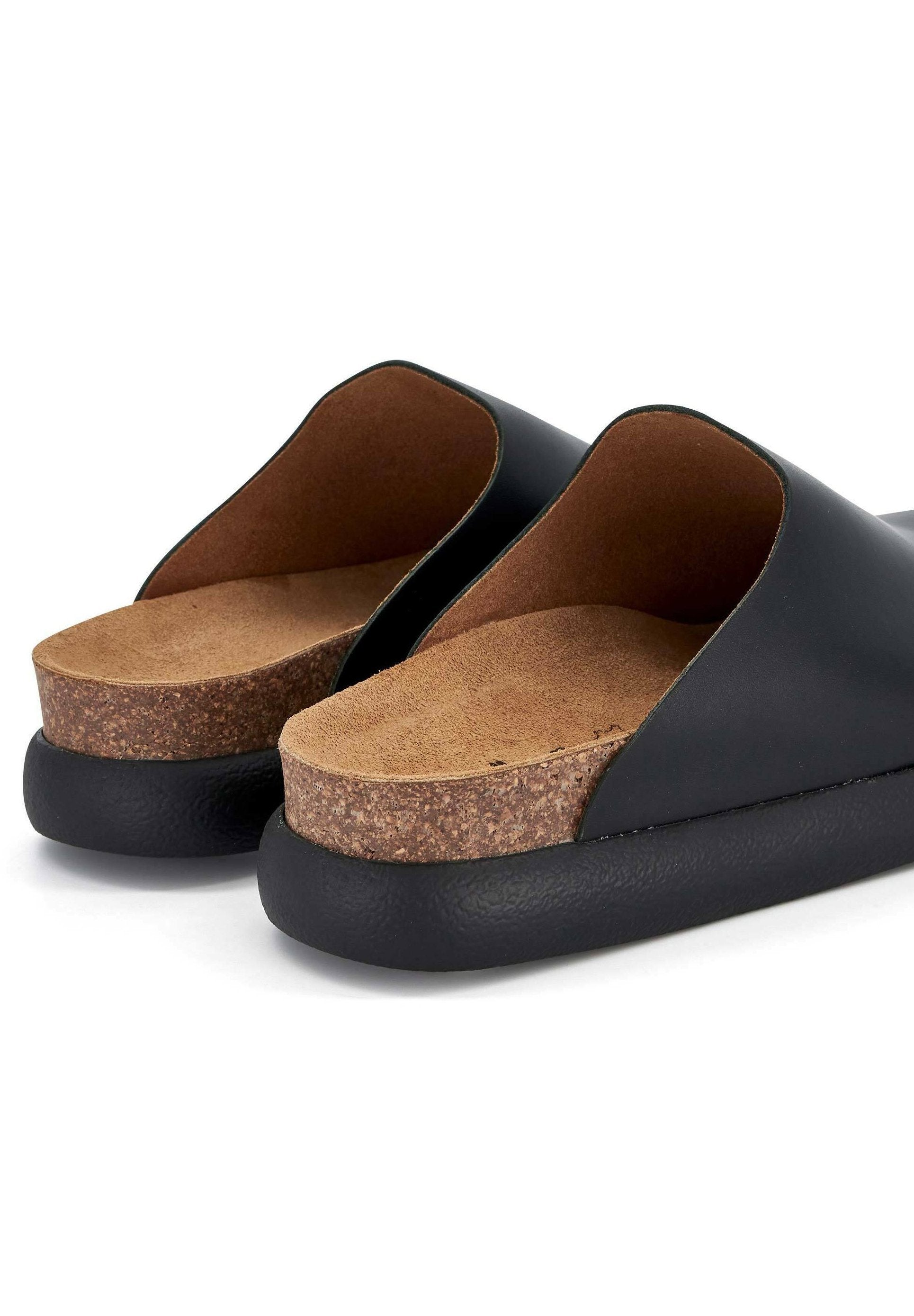 Scholl  IVY 2.0