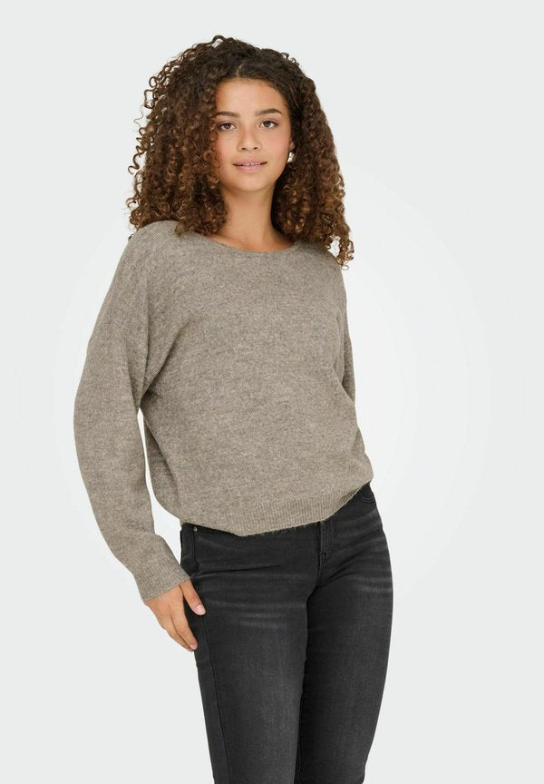 ONLY Knitted ONLADELE Knitted - Jumper - fungi