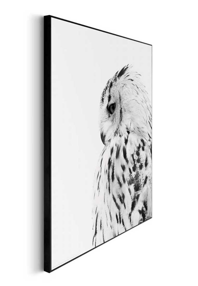 Orange Wallz SNOW OWL