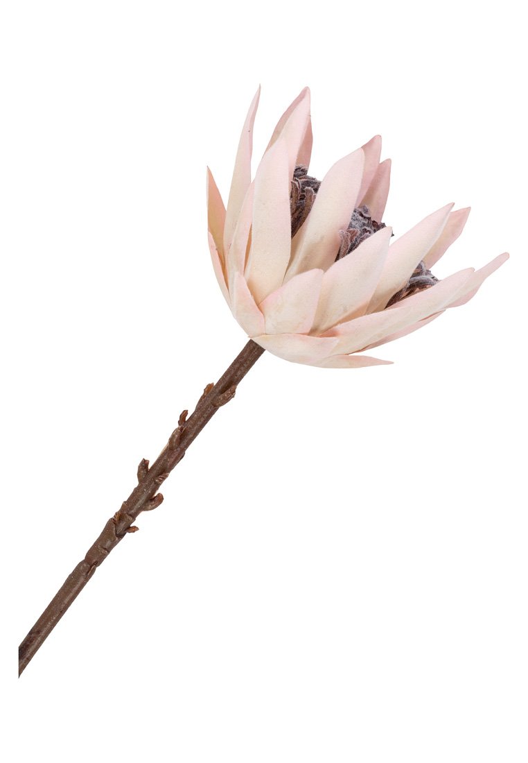 House Nordic KING PROTEA BOUQUET