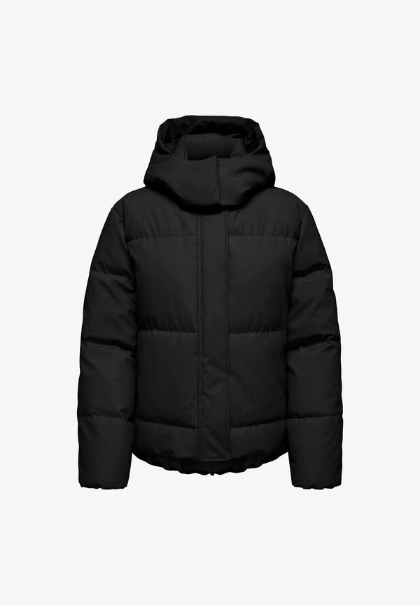 ONLY Puffer ONLAGNES Puffer - Winter jacket - black