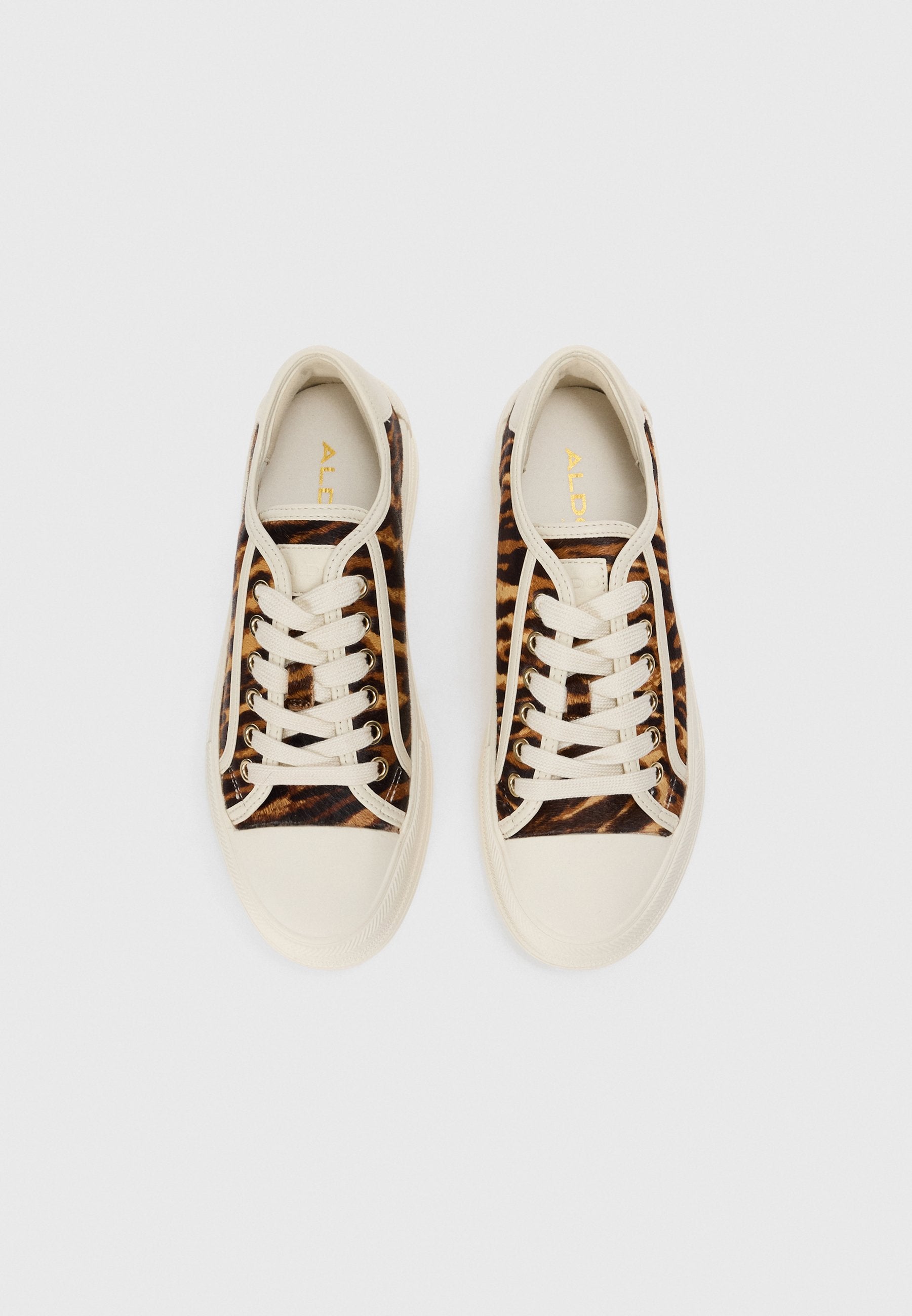 ALDO RAYES