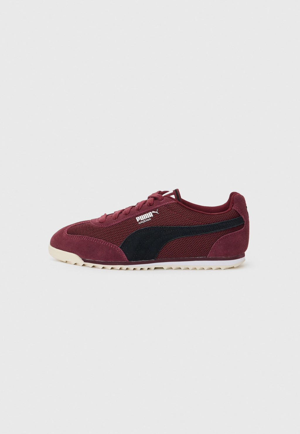 Puma ARIZONA