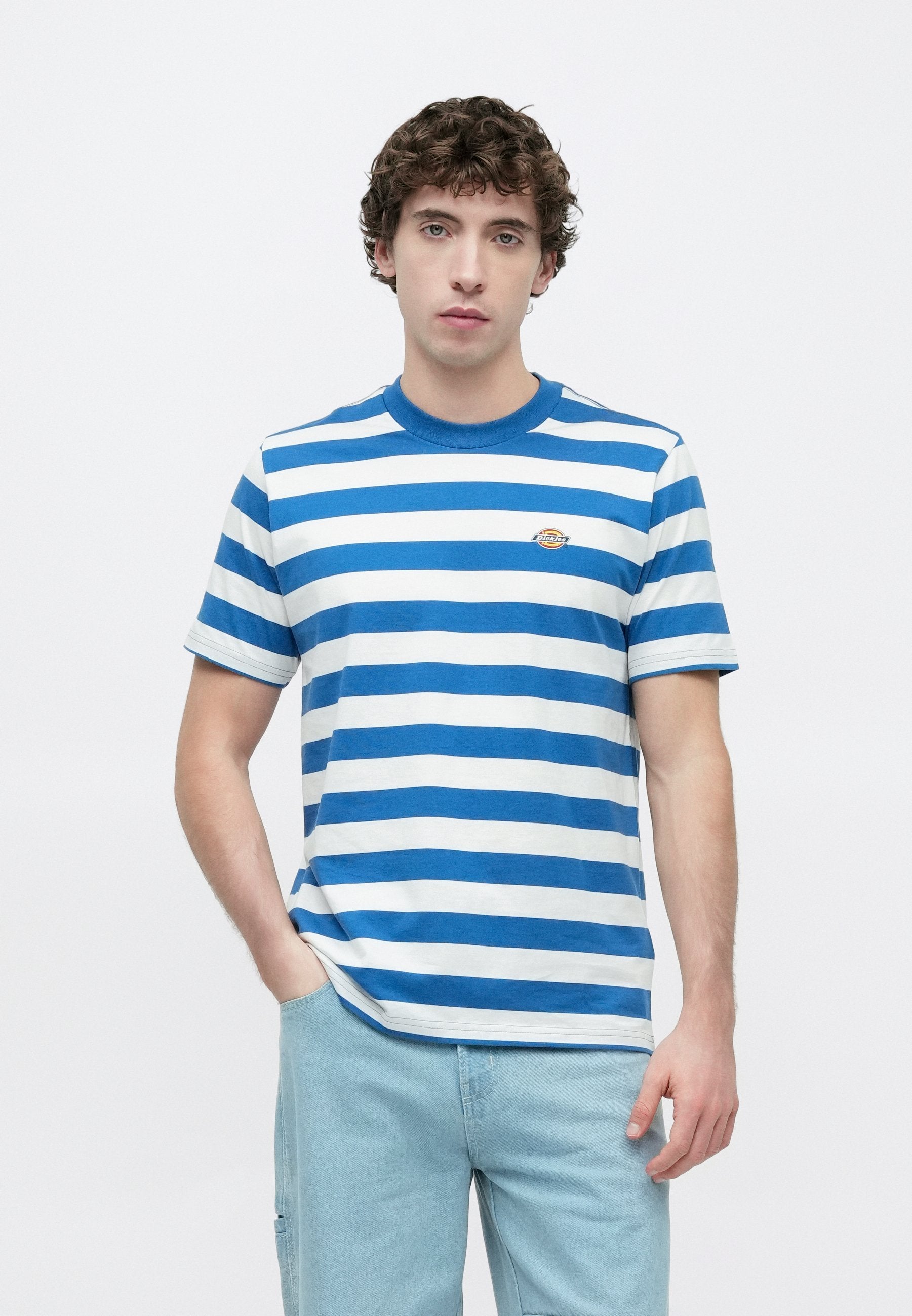 Dickies RIVERGROVE TEE
