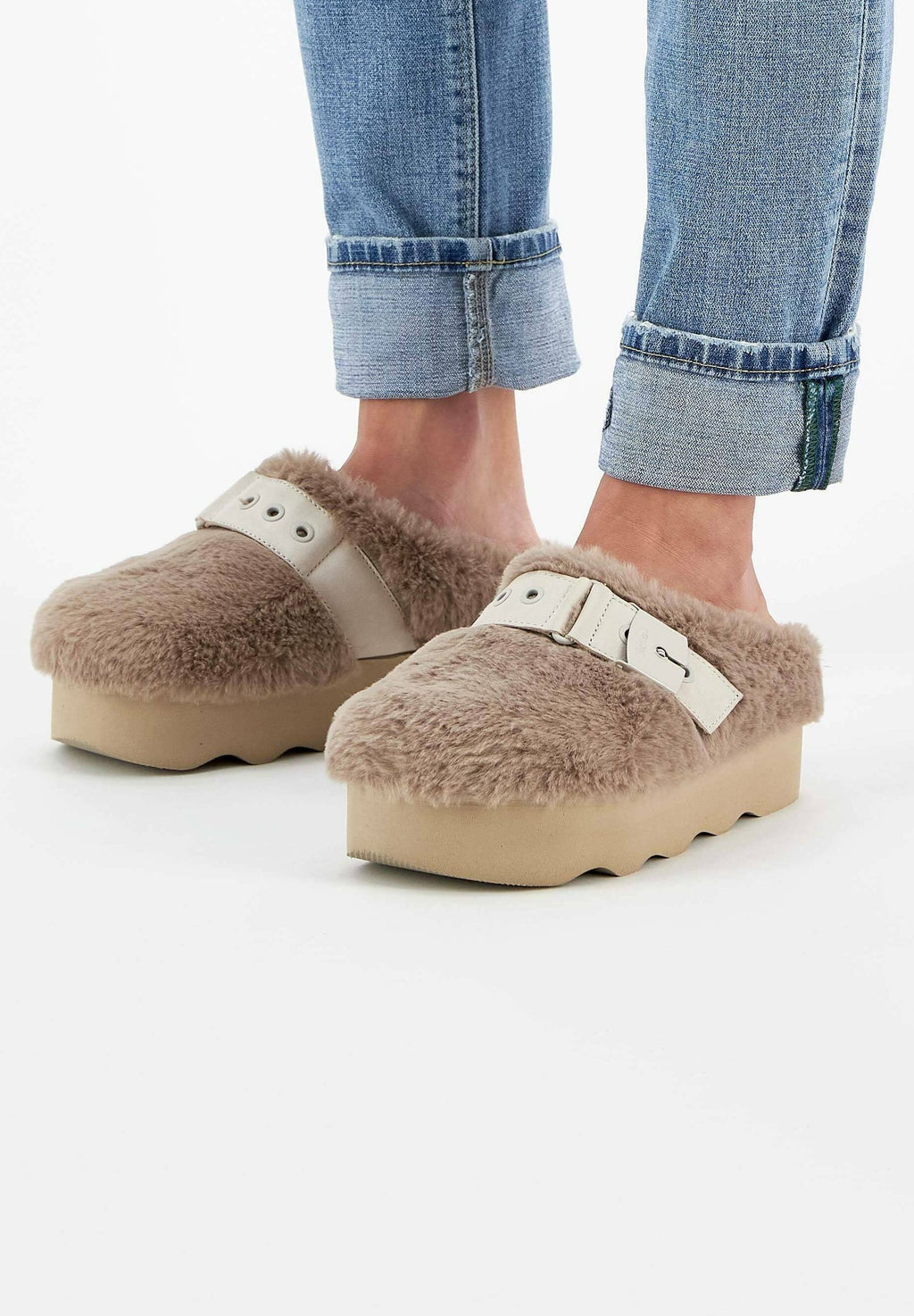 Scholl
