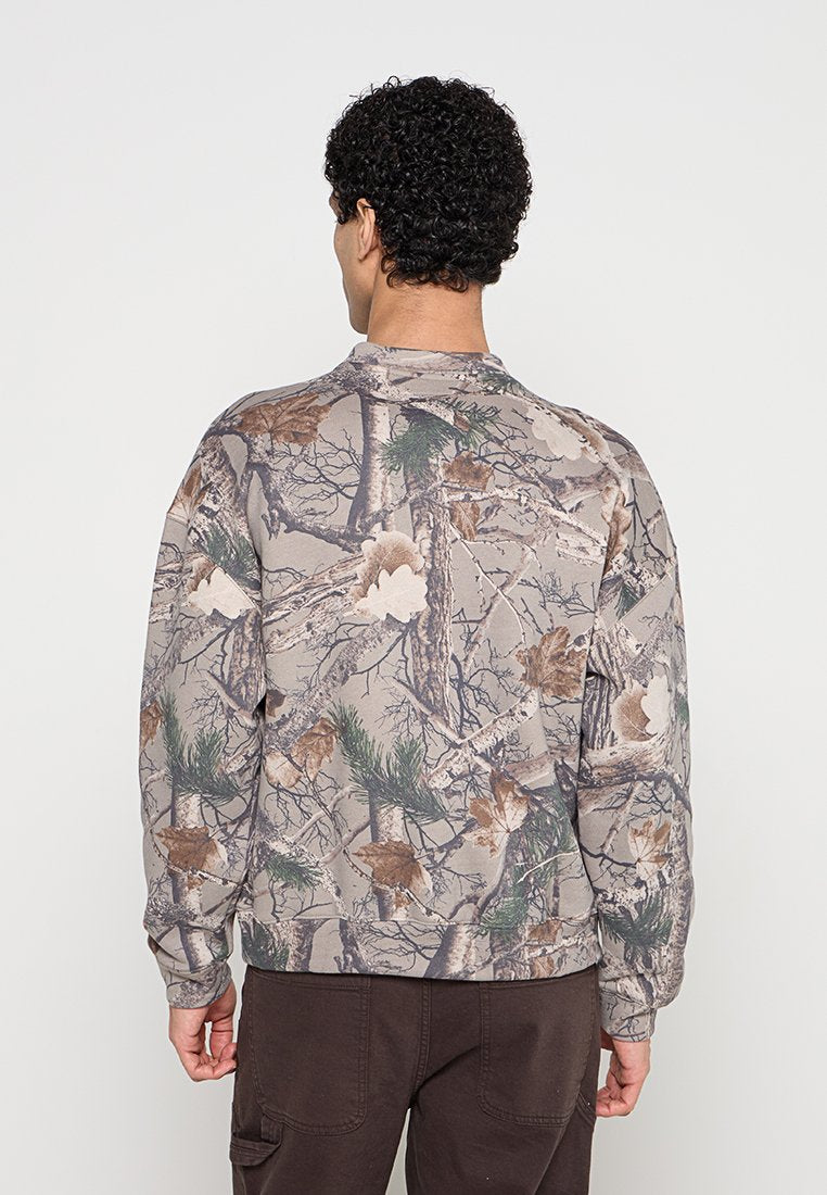 Hollister Co. JAN
