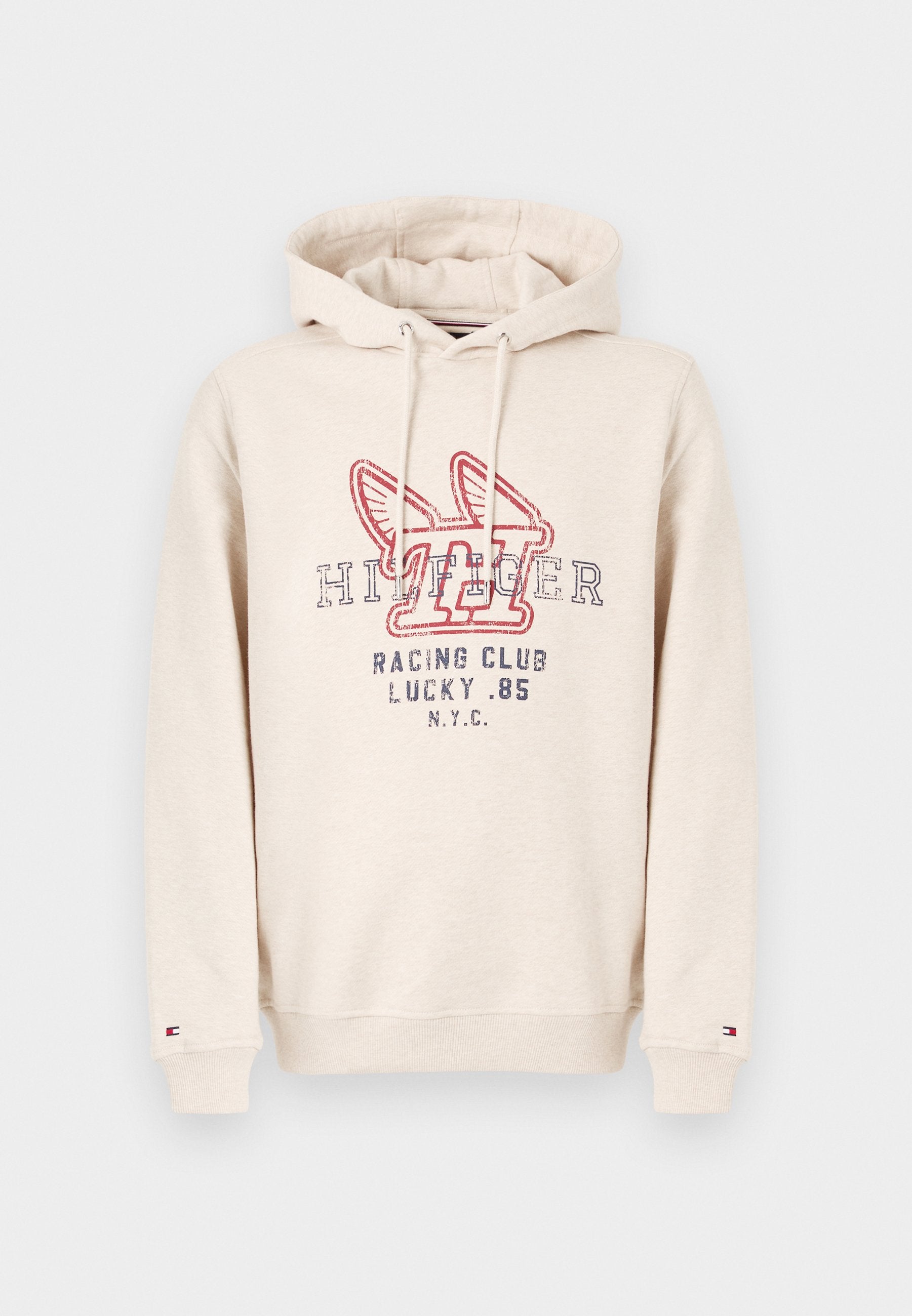 GRAPHIC TERRY DRAWSTRING HOODY Media 1