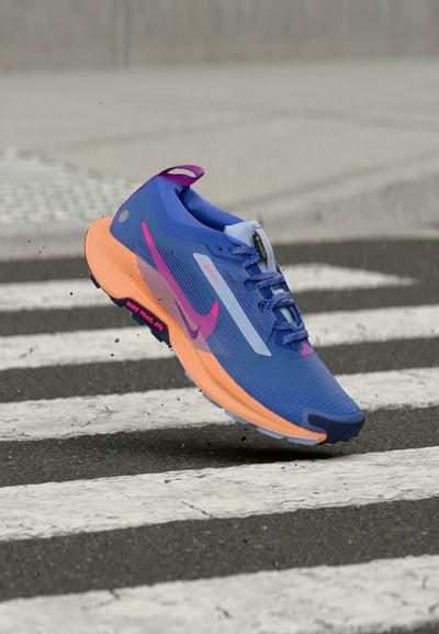 Nike ACG REACTX PEGASUS 5 GTX
