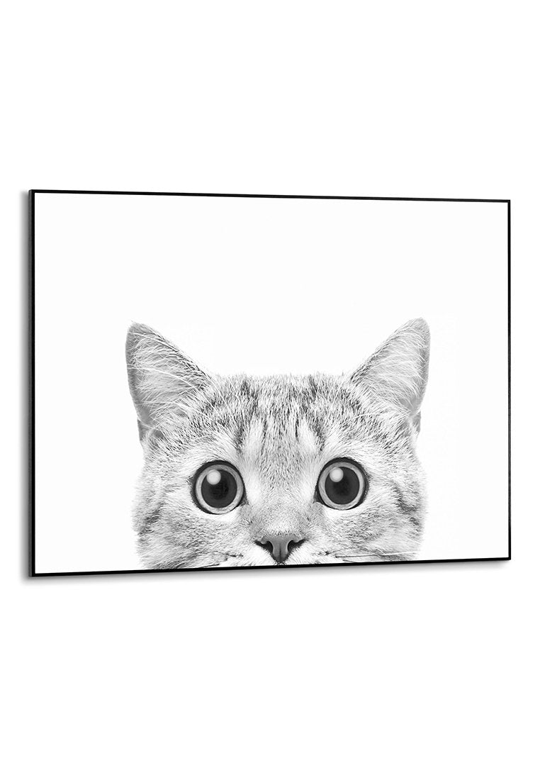 Orange Wallz CATS EYES