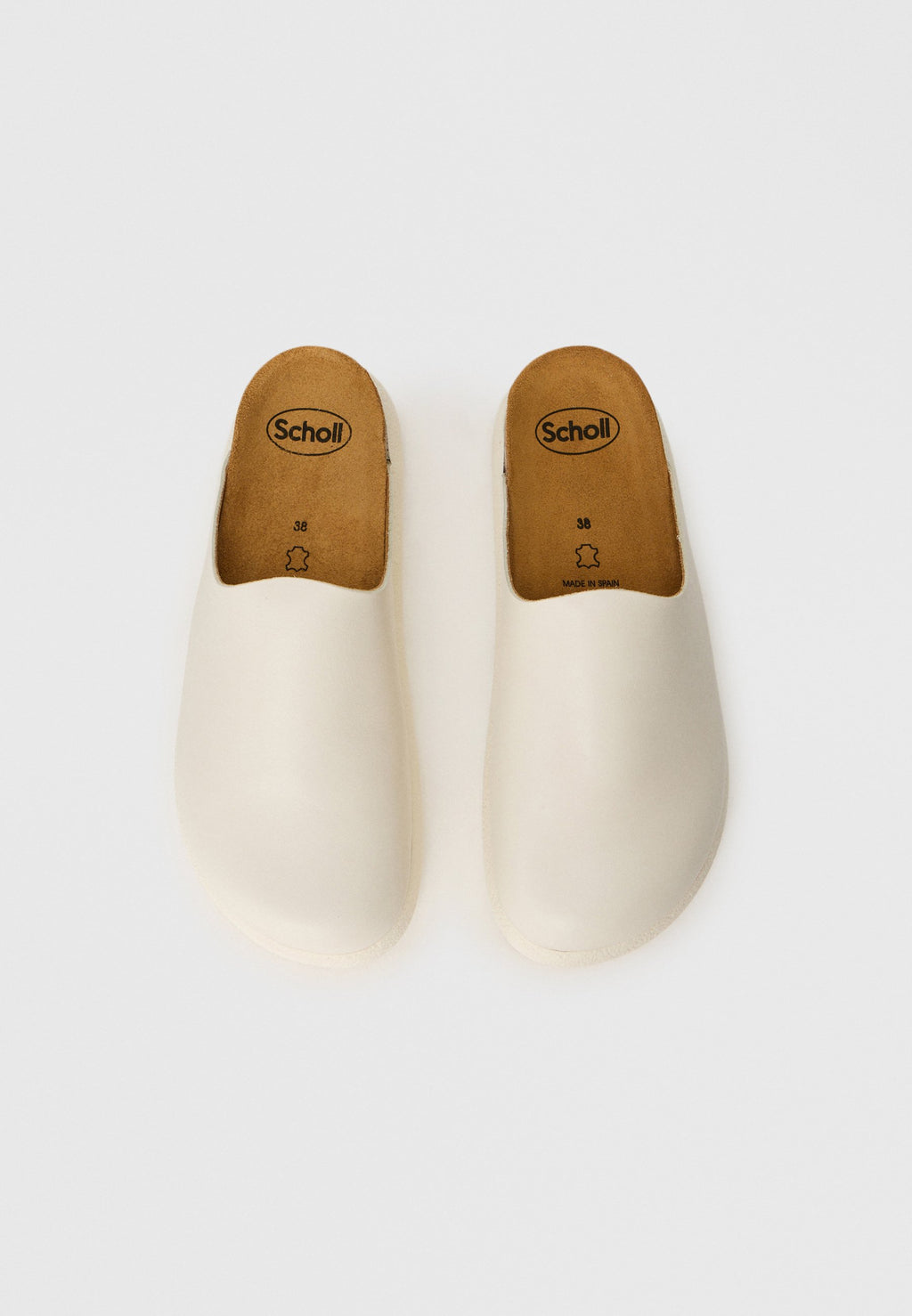 Scholl IVY