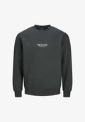 Jack & Jones Sweats Printed Sweats - Sweatshirt - forest river