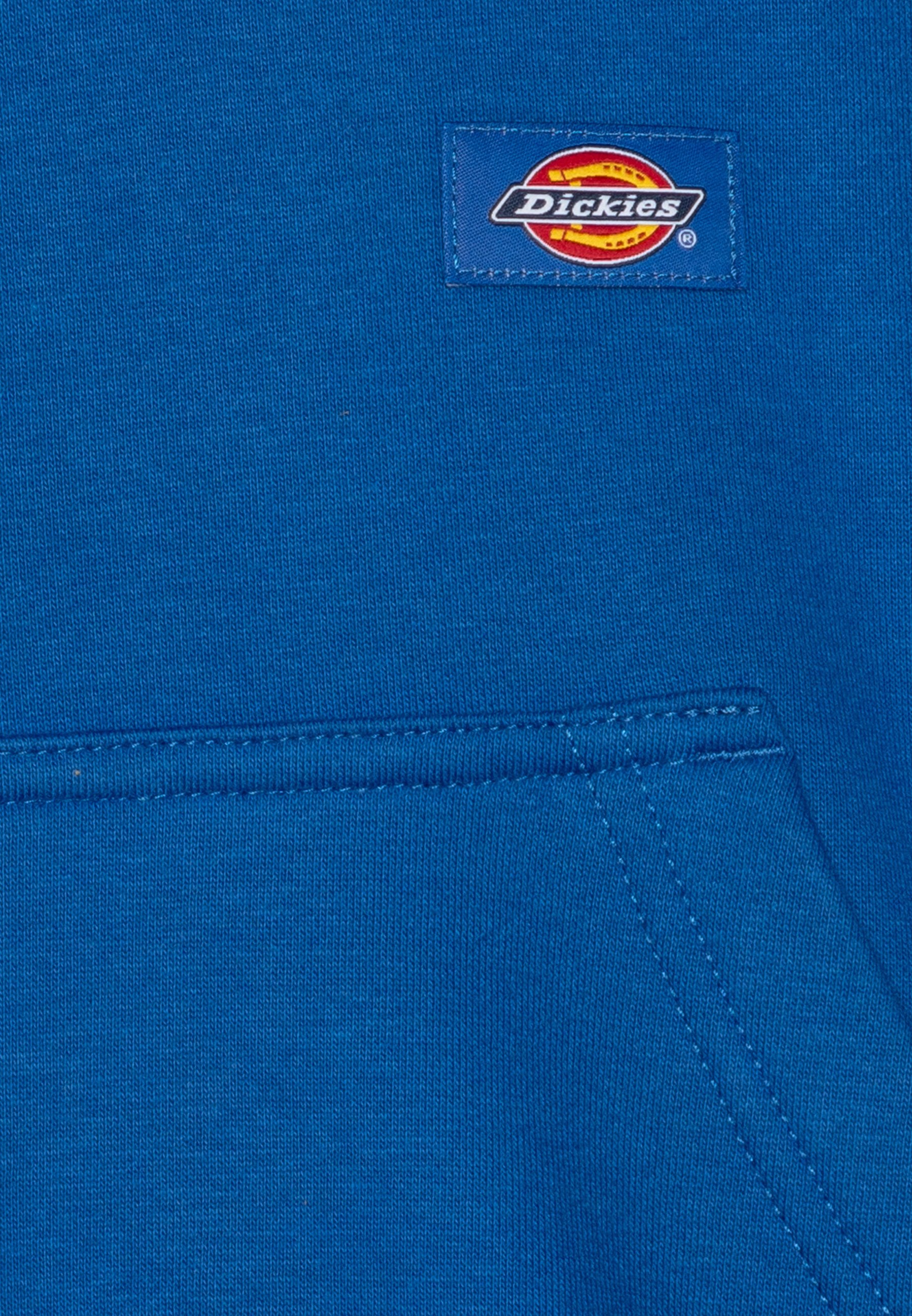 Dickies YOUTH OAKPORT HOODIE UNISEX