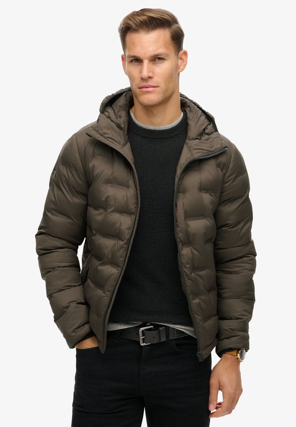 Superdry & Co HOODED QUILTED  - Winter jacket - after dark brown