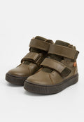 Wheat HUNTER TEX