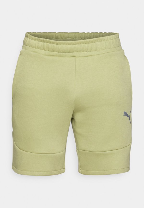 Puma SHORTS - Sports shorts - calming green