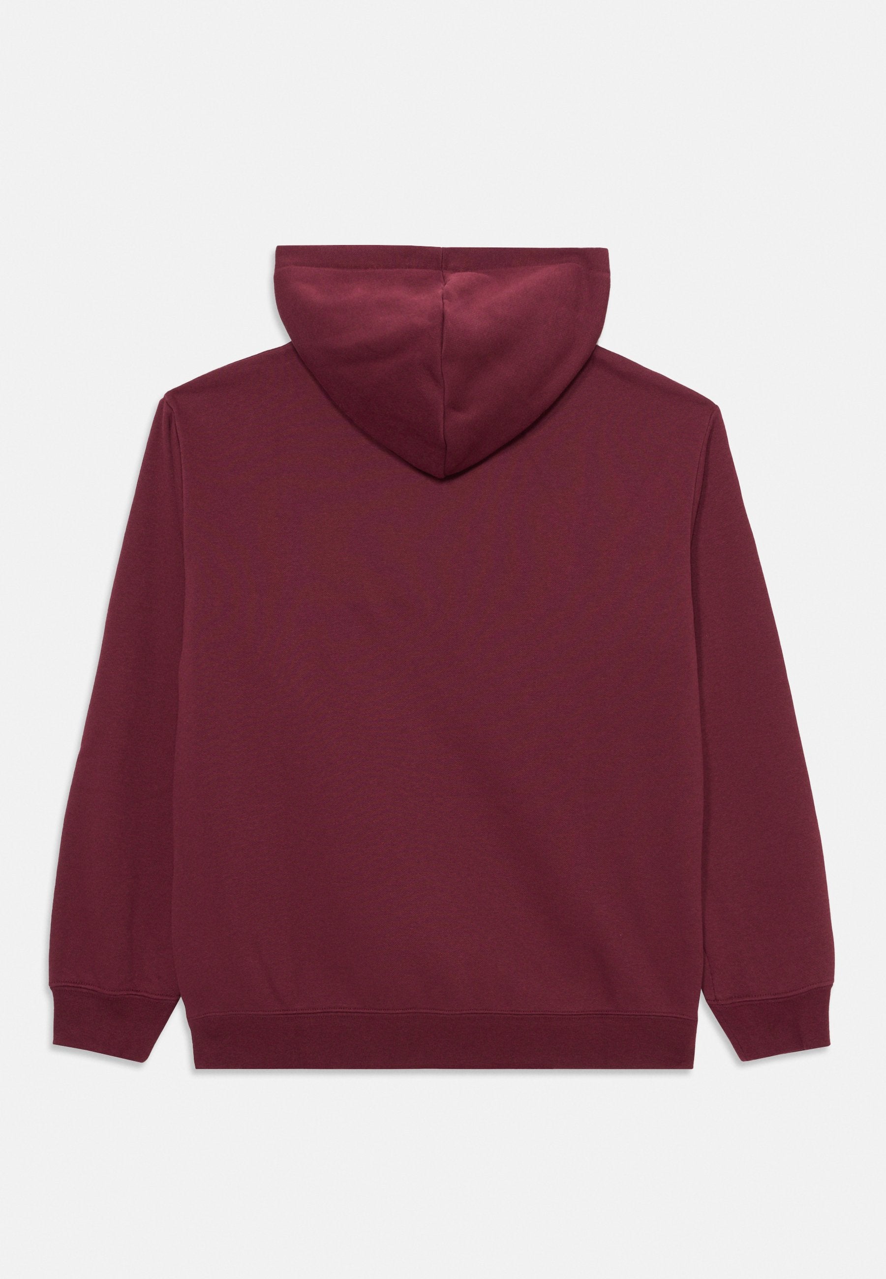 Puma SMALL LOGO RELAXED HOODIE