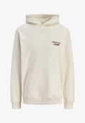 Jack & Jones JORNORREBRO TYPO BACK SWEAT HOOD SN - Hoodie - antique white