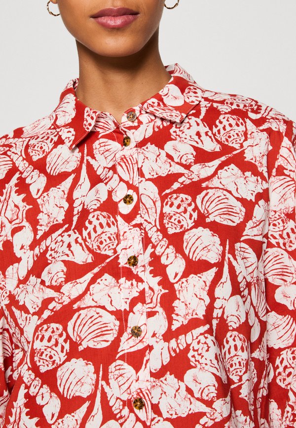 Scotch & Soda
