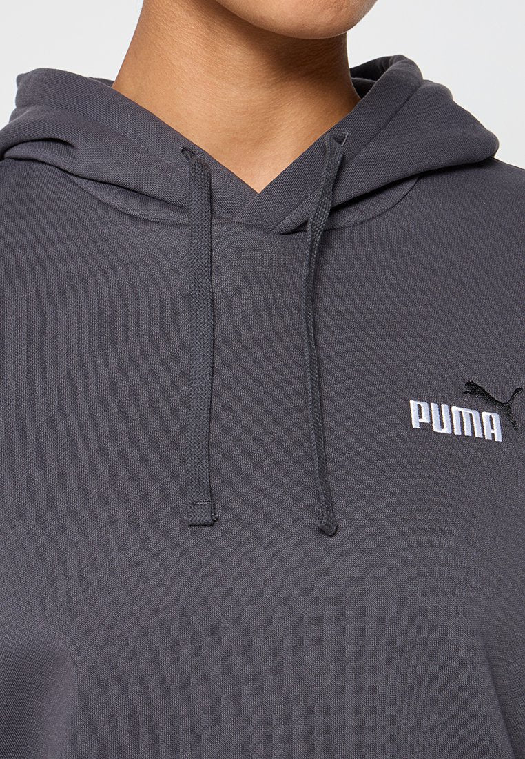 Puma 2 COLOR SMALL NO. 1 LOGO HOODIE