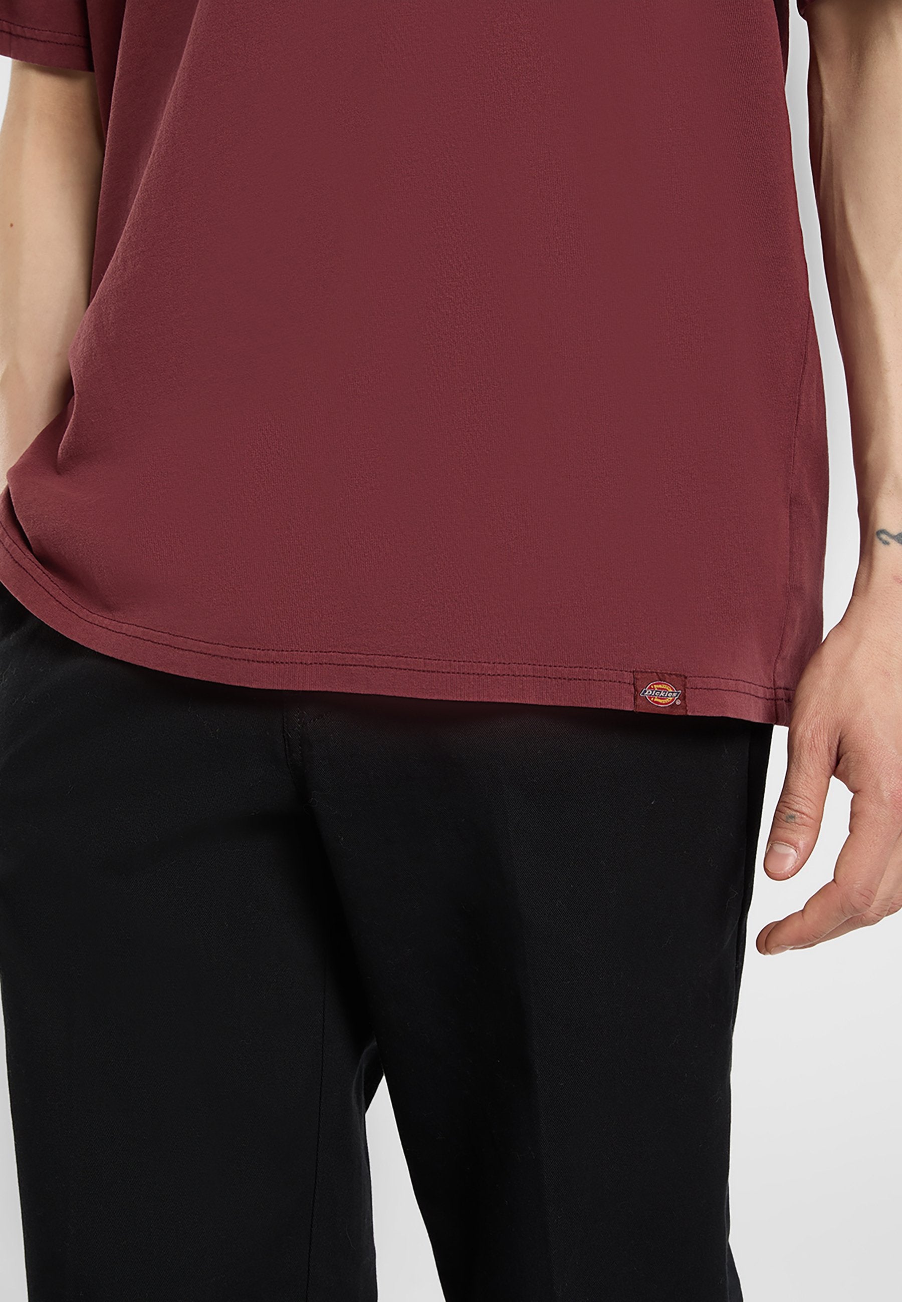 Dickies PLENTYWOOD TEE
