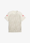 Puma INDIVIDUALLIGA GRAPHIC JERSEY - Sports T-shirt - sedate gray-ultra red-sugared almond