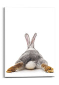Orange Wallz RABBIT
