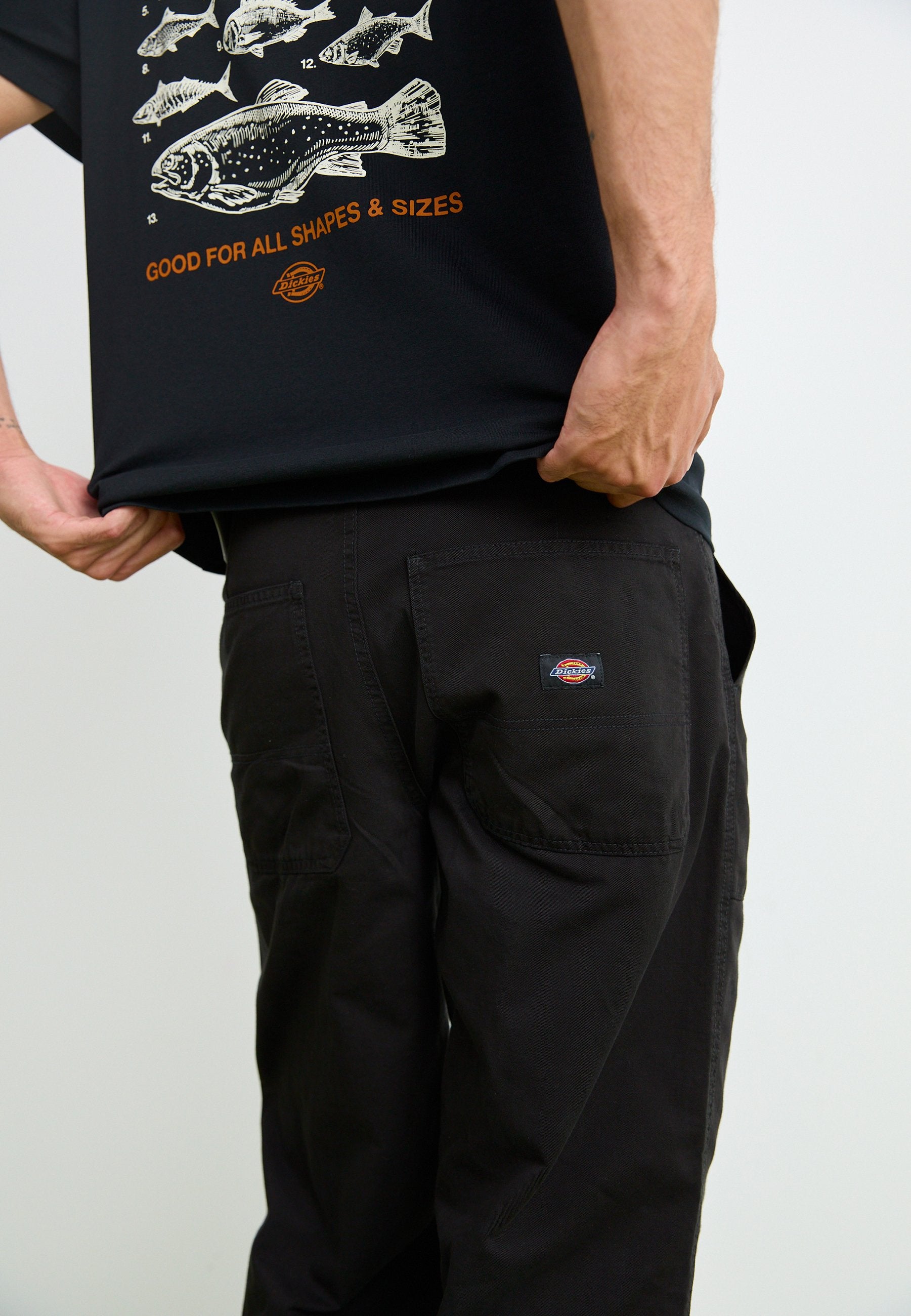 Dickies FORTH SMITH TRUCK PANT