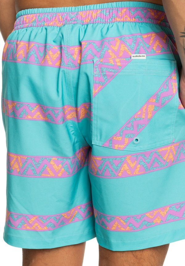 Quiksilver TAKE US BACK VOLLEY