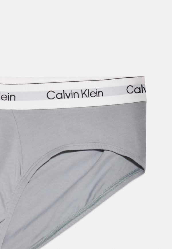 Calvin Klein Underwear 3 PACK