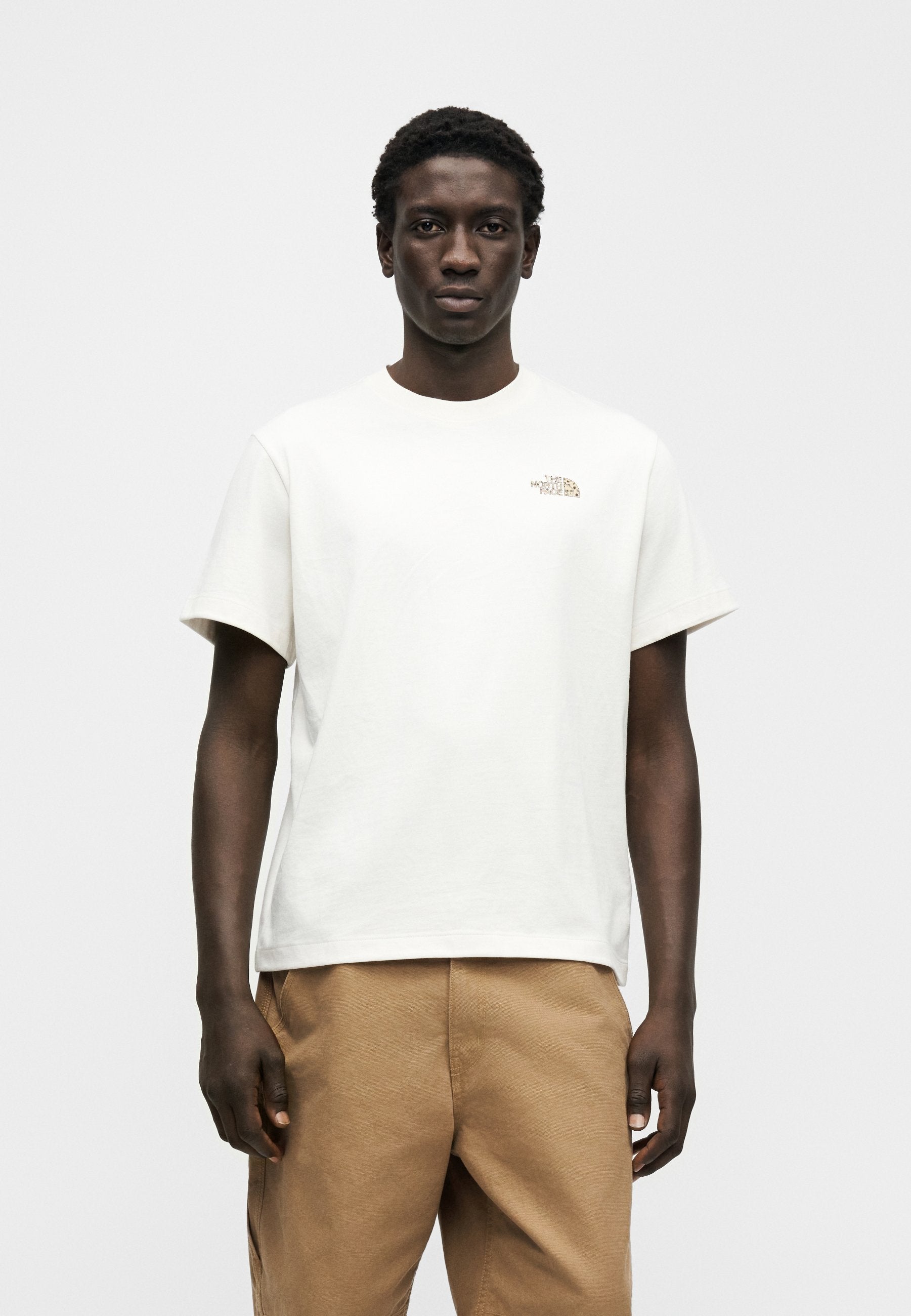 The North Face SNACK RELAXED SHORT SLEEVE TEE GRAPHIC