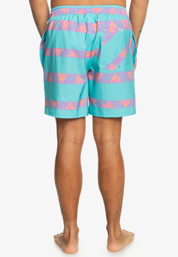 Quiksilver TAKE US BACK VOLLEY
