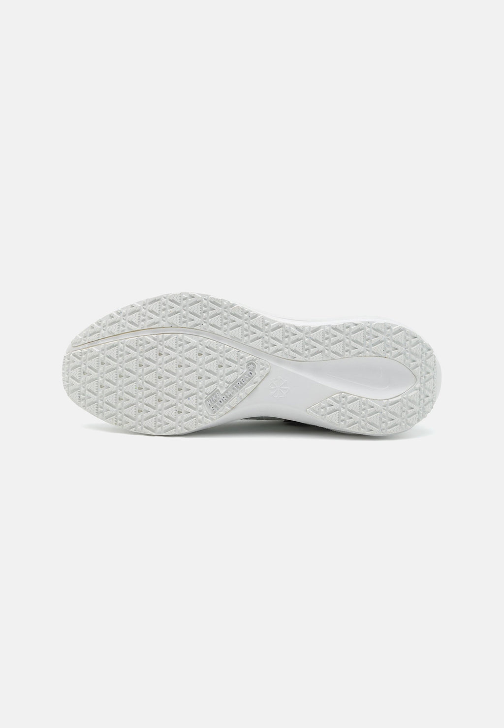 Nike Performance PEGASUS 41 GTX