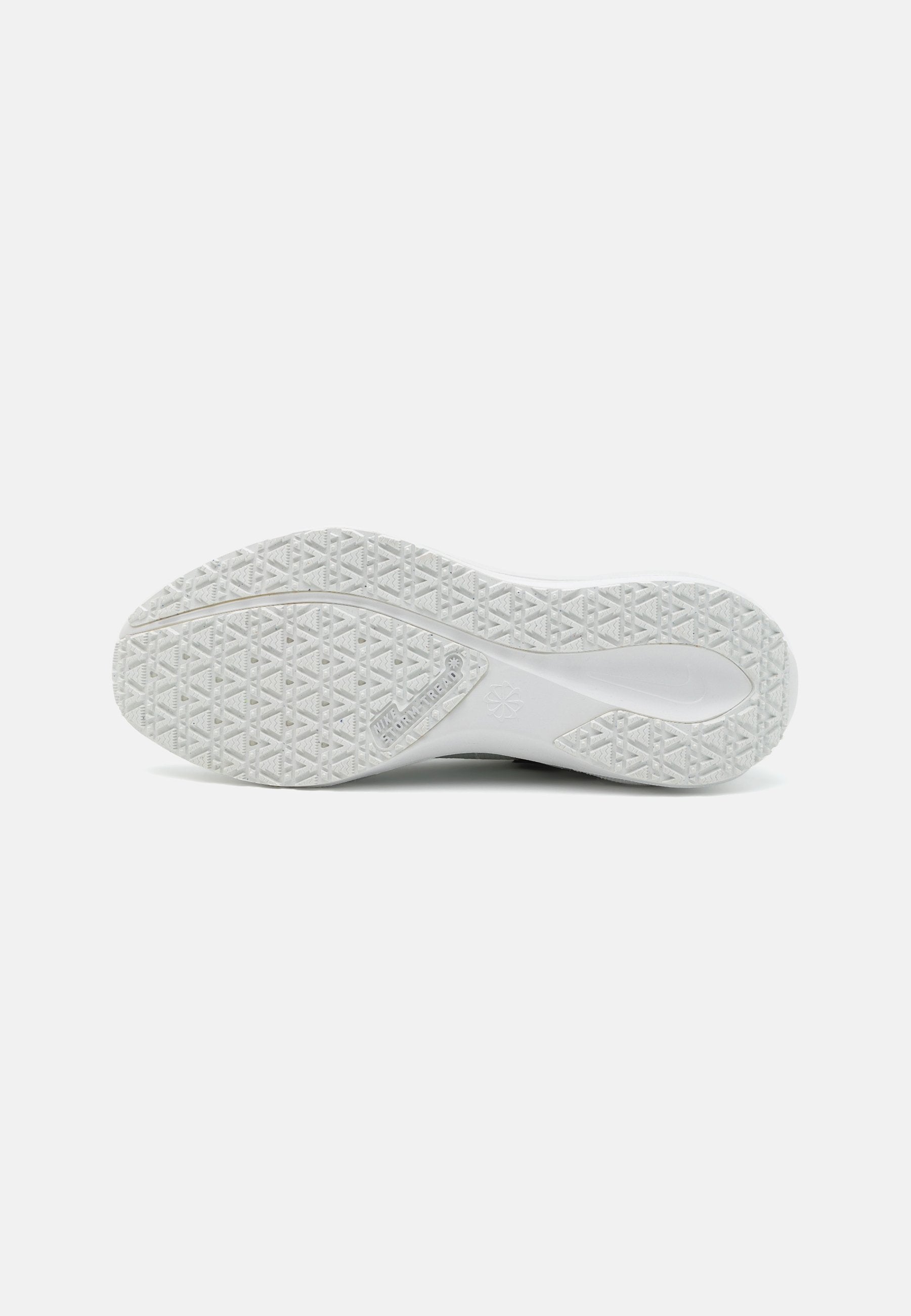 Nike Performance PEGASUS 41 GTX