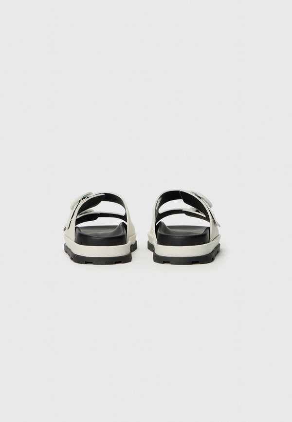 Pollini