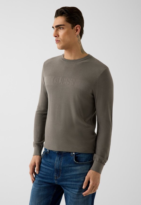 Guess Jumper - grau