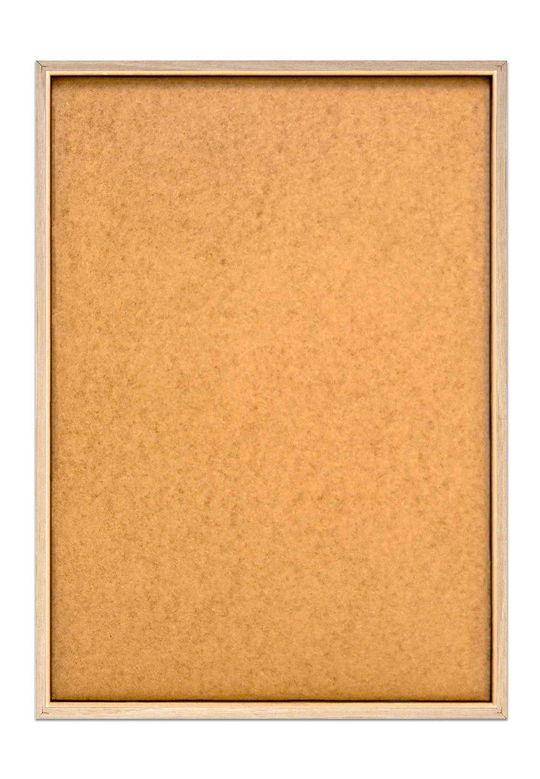 Orange Wallz UPCOMING TIDE