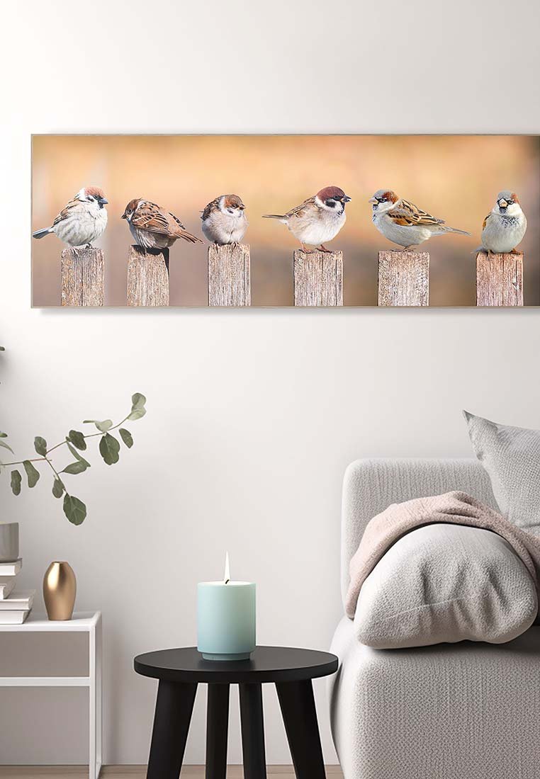 Orange Wallz SPARROWS